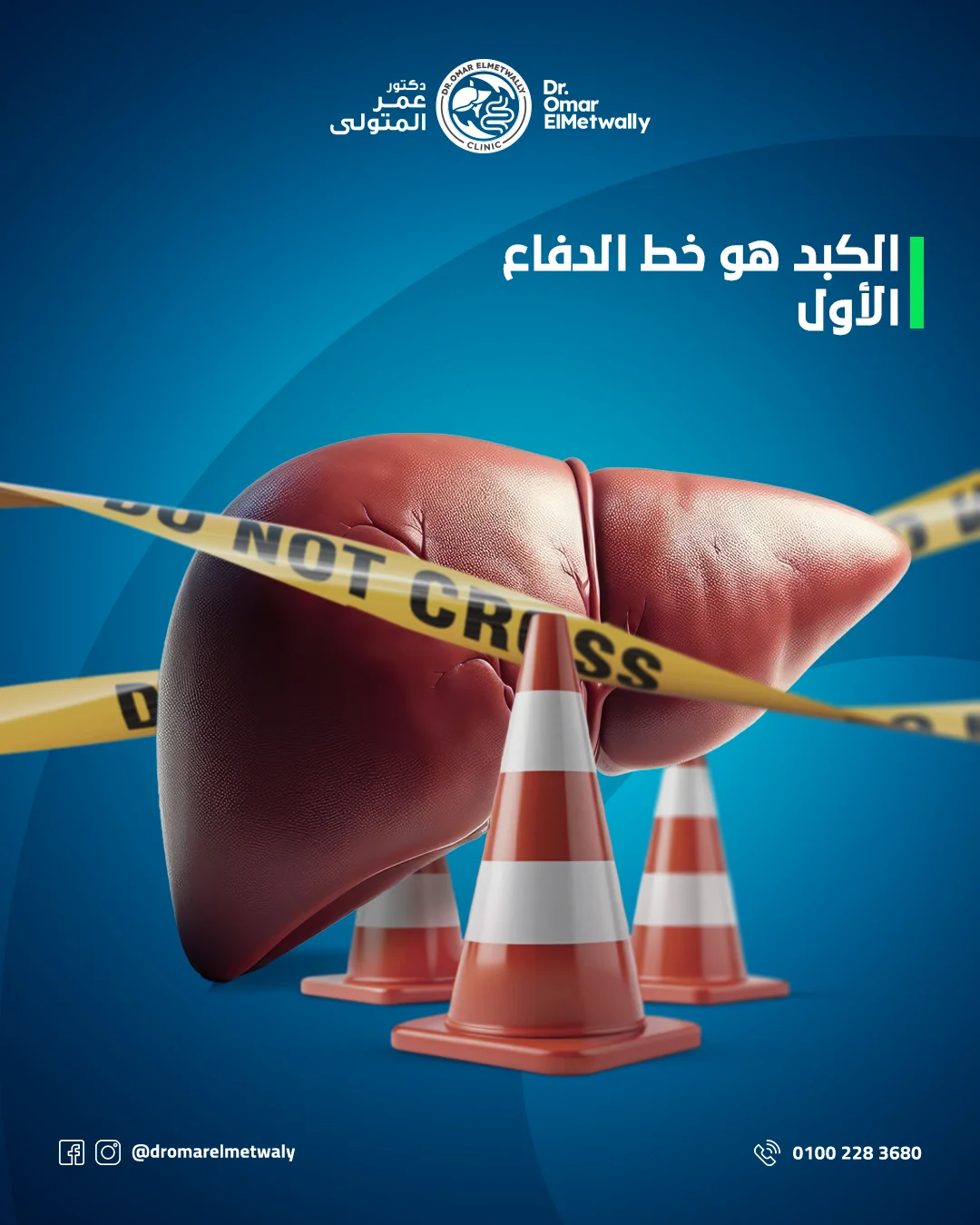 الكبد-هو-خط-الدفاع-الأول